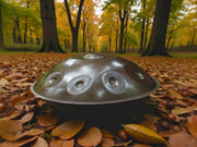 beatrise handpan