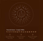 BeatRise 14 Inch 15 Notes Steel Tongue Drum - BeatRise Music